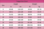 Topgal Satin Pajamas for Girls Beige & Pink Leopard 2 PC Short Sleeves Teen Girl Silky Nightwear Size 10 (Part 1 of 2)